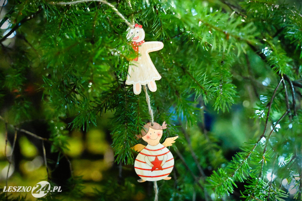 Ubieranie choinki w Krzemieniewie