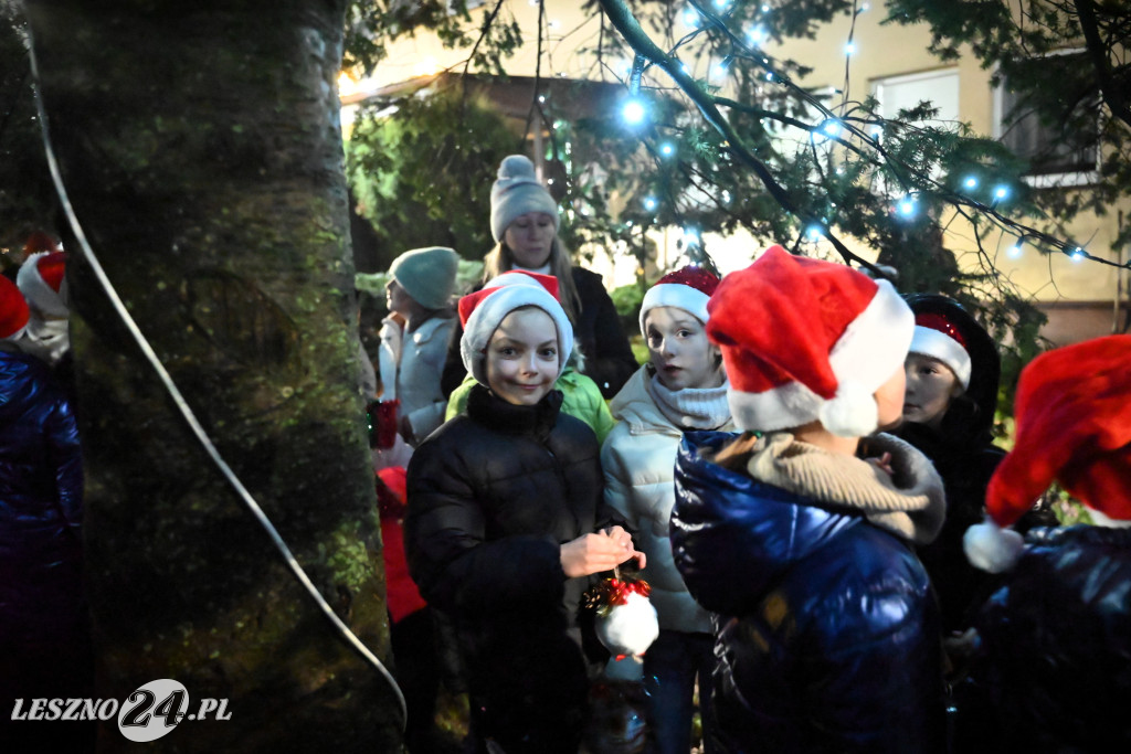 Ubieranie choinki w Krzemieniewie