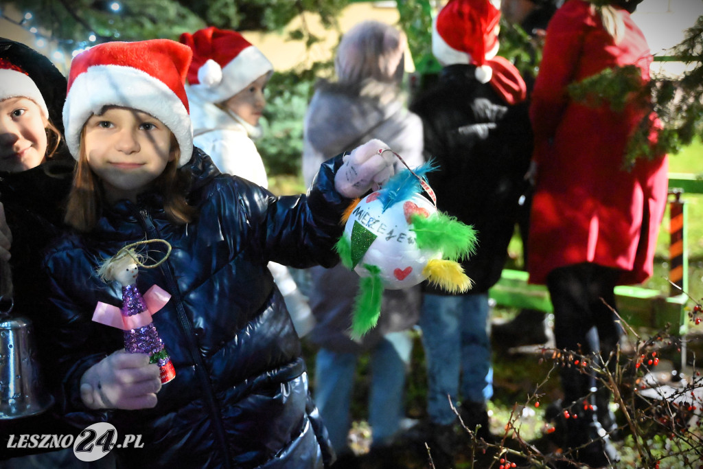 Ubieranie choinki w Krzemieniewie