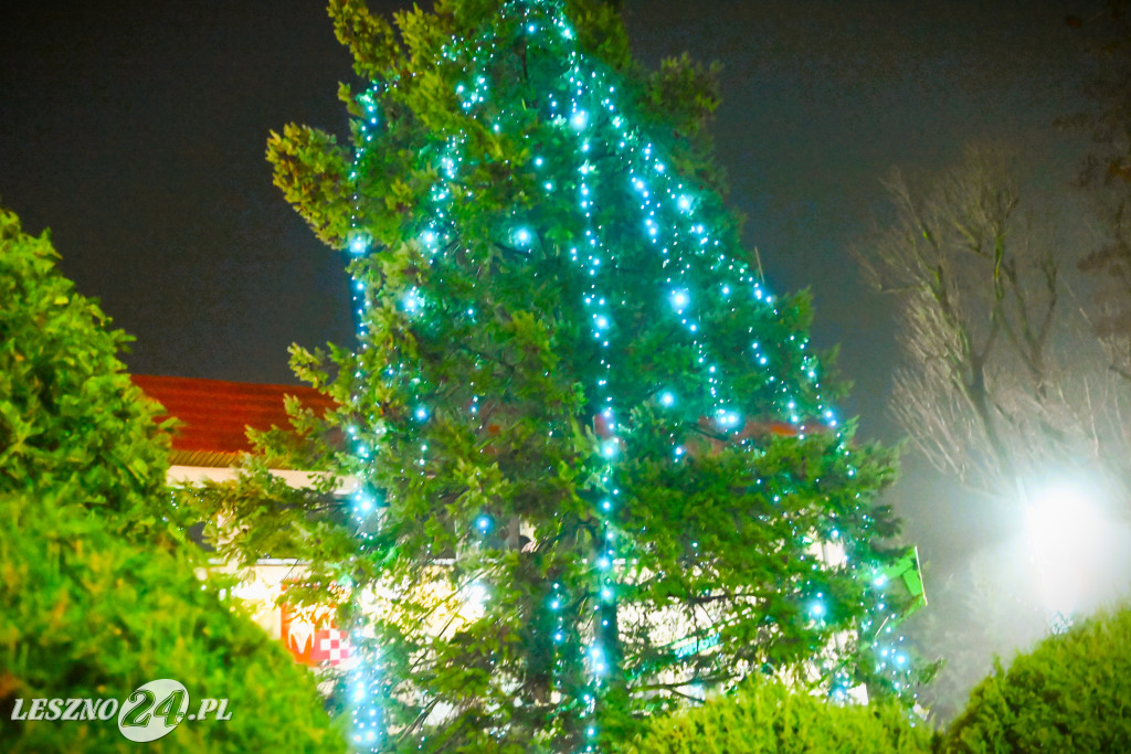 Ubieranie choinki w Krzemieniewie