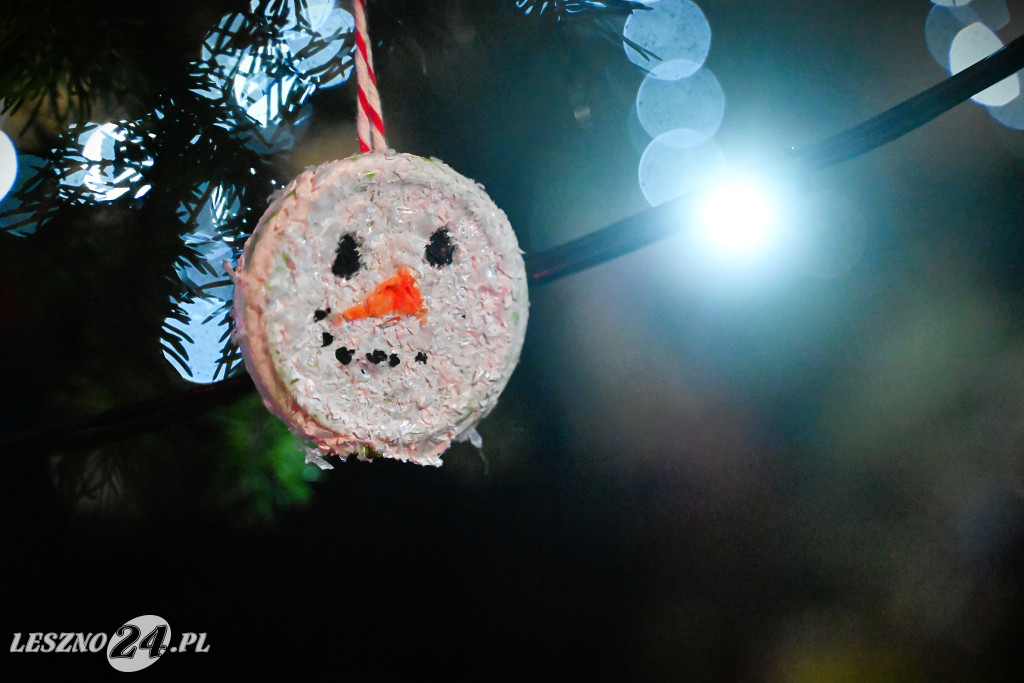 Ubieranie choinki w Krzemieniewie