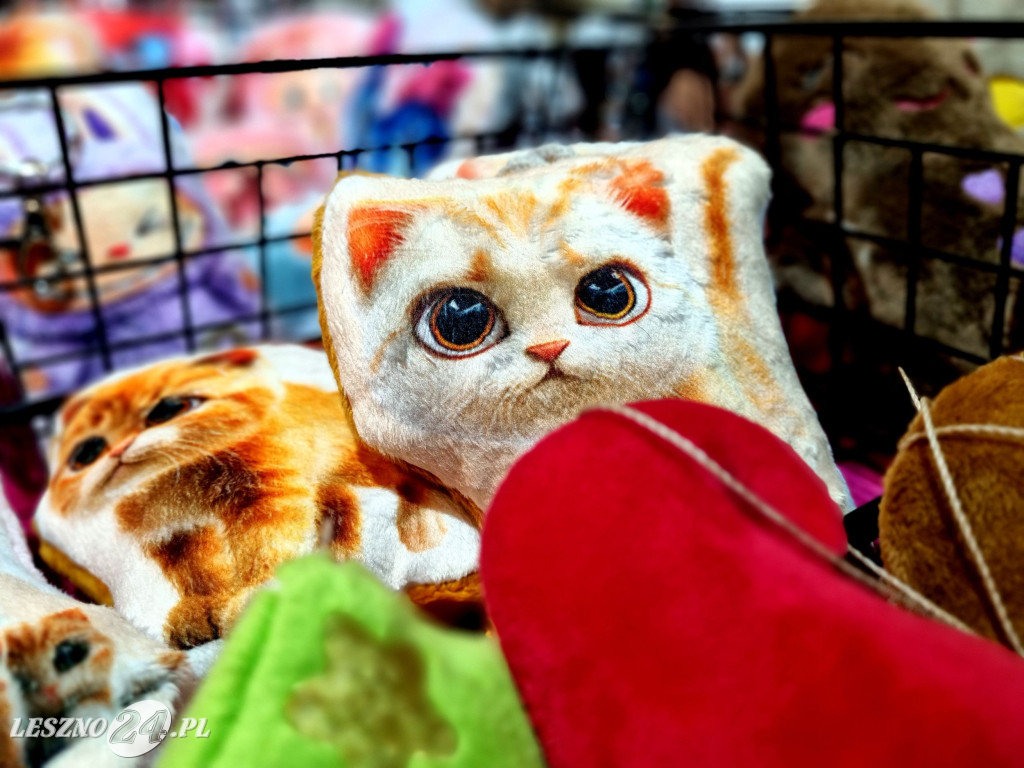 Mikołajki i Jarmark na Rynku w Lesznie