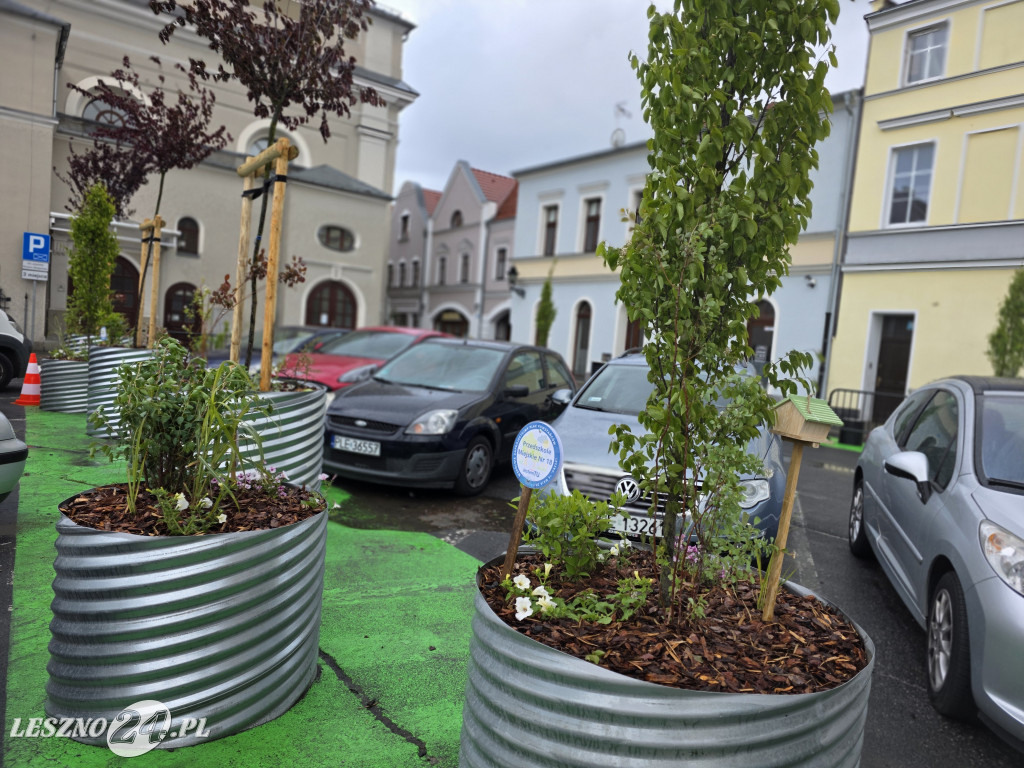 Zmiany na Placu Powstańców w Lesznie