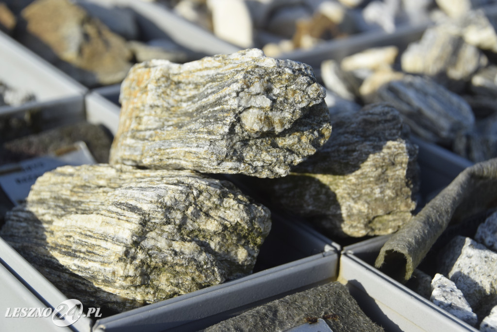 Wiler-Bud w nowej siedzibie w Święciechowie