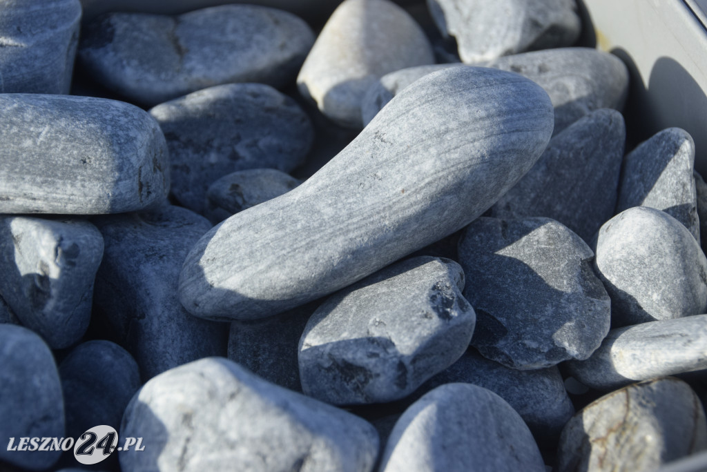 Wiler-Bud w nowej siedzibie w Święciechowie
