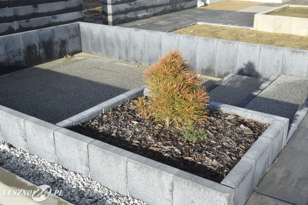 Wiler-Bud w nowej siedzibie w Święciechowie