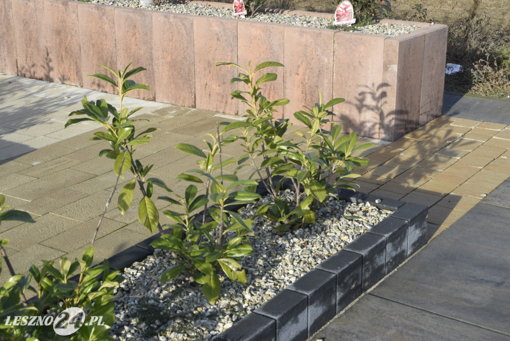 Wiler-Bud w nowej siedzibie w Święciechowie