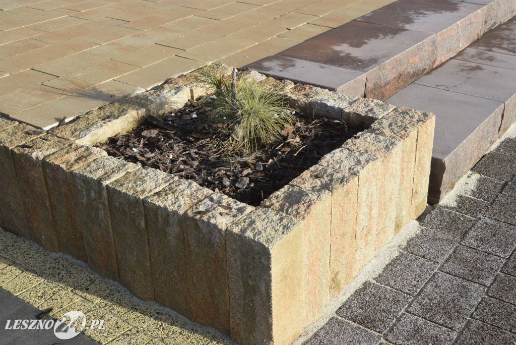 Wiler-Bud w nowej siedzibie w Święciechowie