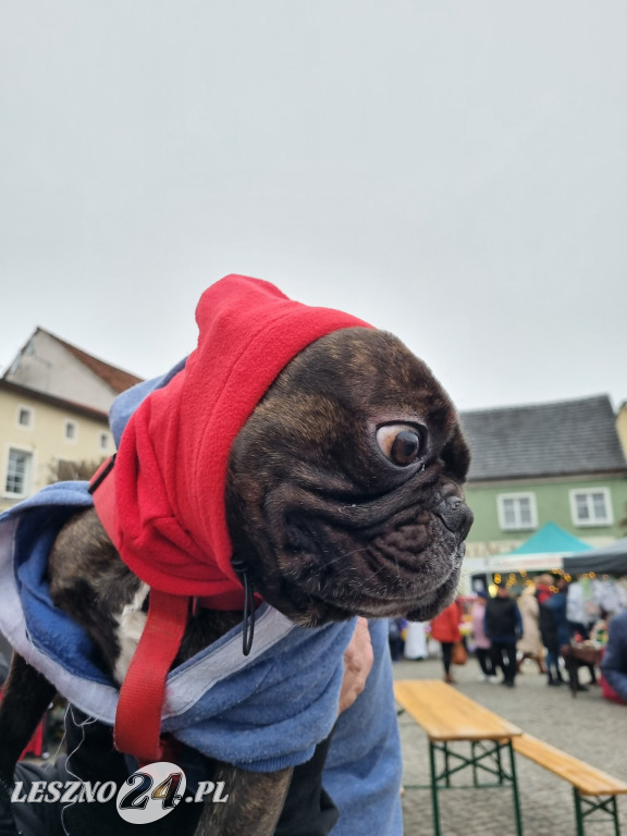 Jarmark Bożonarodzeniowy w Rydzynie