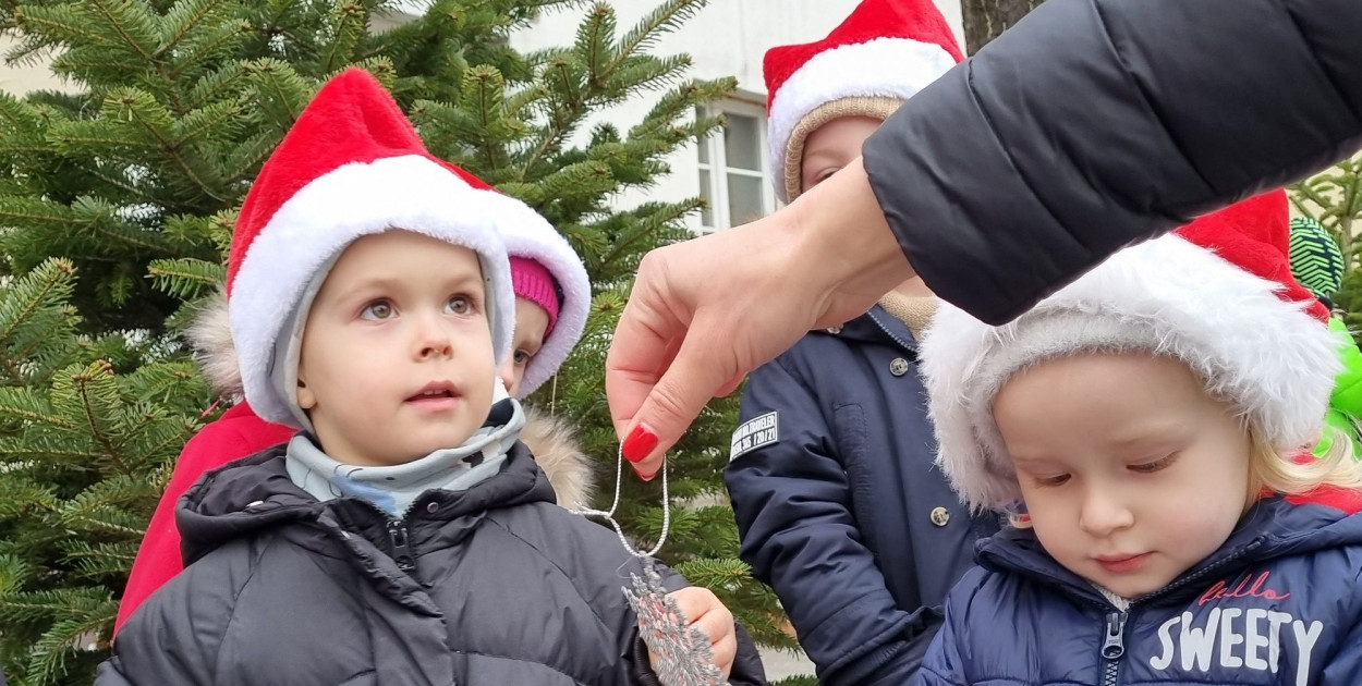 Przedszkolaki ustroiły choinki na Rynku w Rydzynie