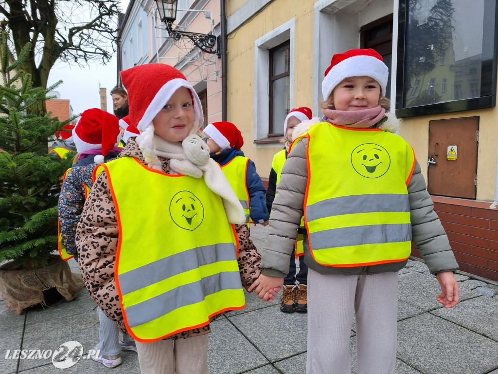 Przedszkolaki ustroiły choinki na Rynku w Rydzynie