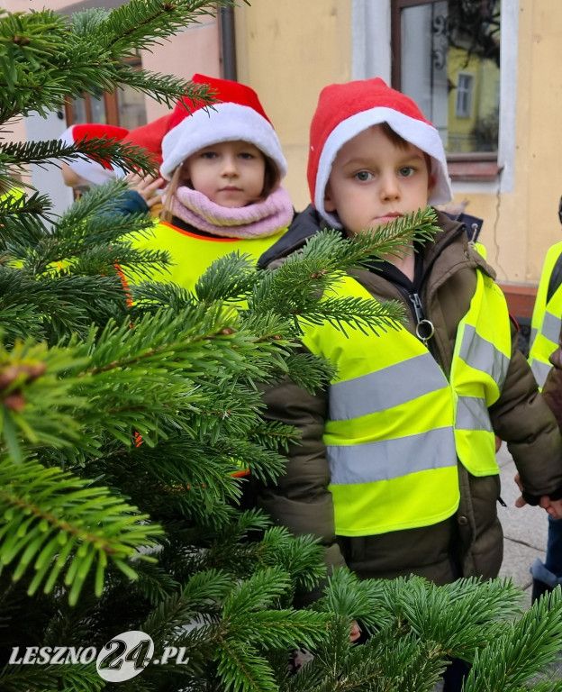 Przedszkolaki ustroiły choinki na Rynku w Rydzynie