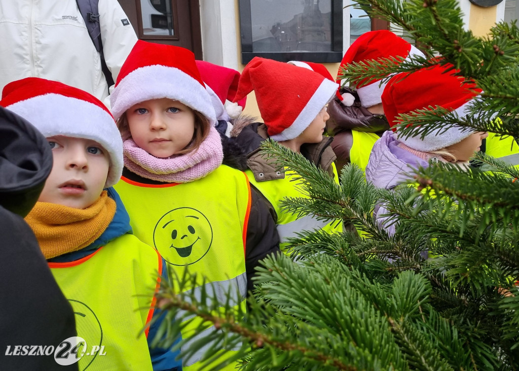 Przedszkolaki ustroiły choinki na Rynku w Rydzynie