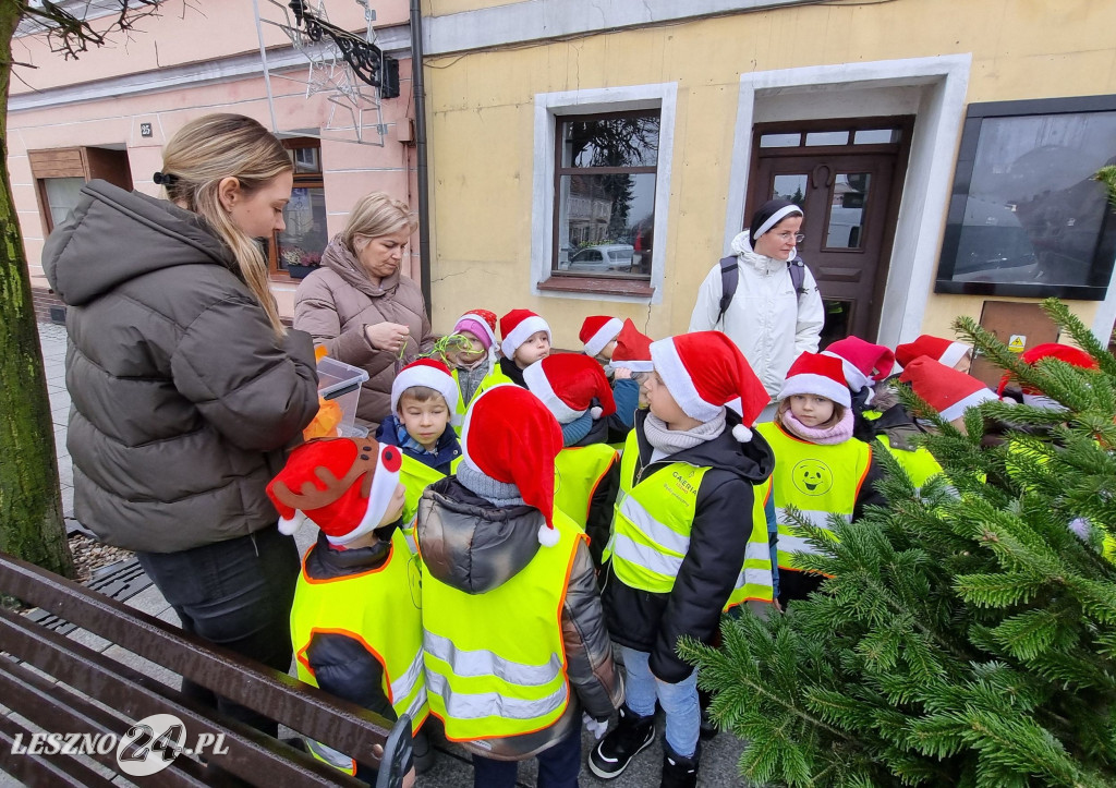 Przedszkolaki ustroiły choinki na Rynku w Rydzynie