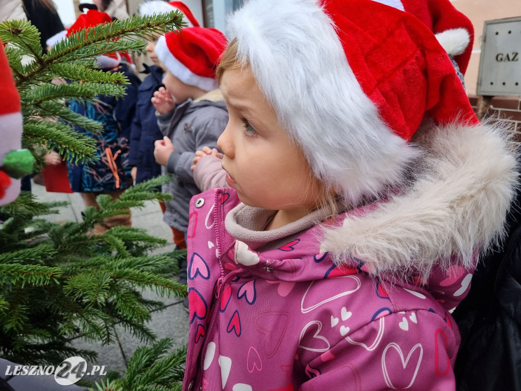 Przedszkolaki ustroiły choinki na Rynku w Rydzynie