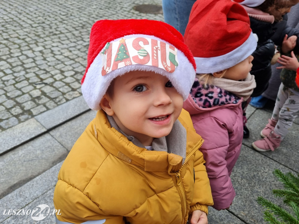 Przedszkolaki ustroiły choinki na Rynku w Rydzynie