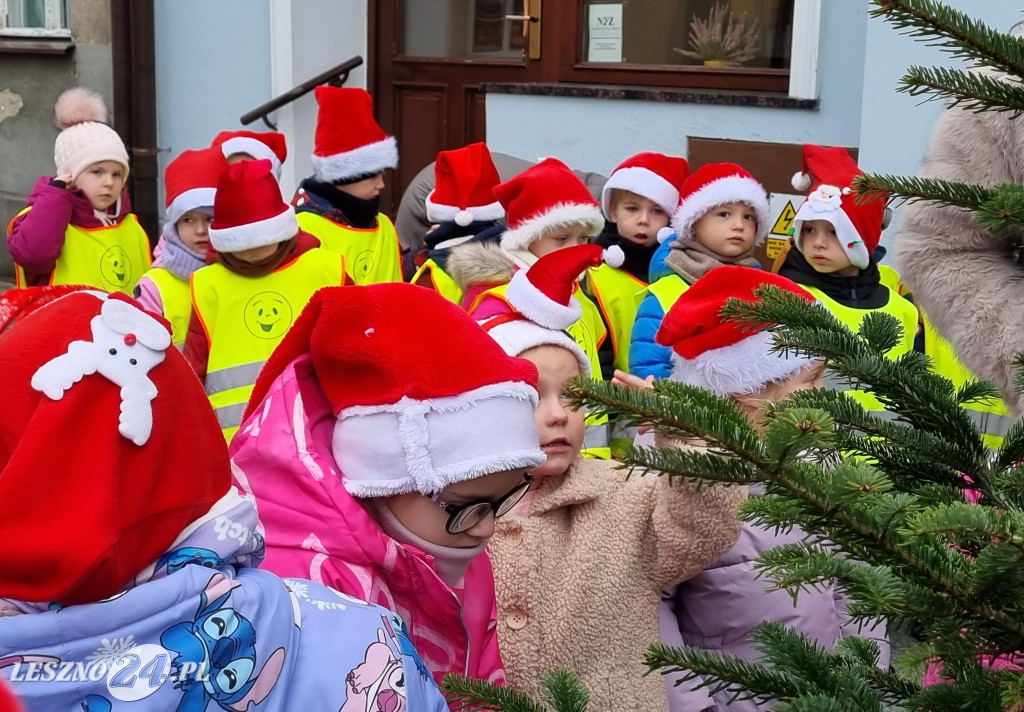 Przedszkolaki ustroiły choinki na Rynku w Rydzynie