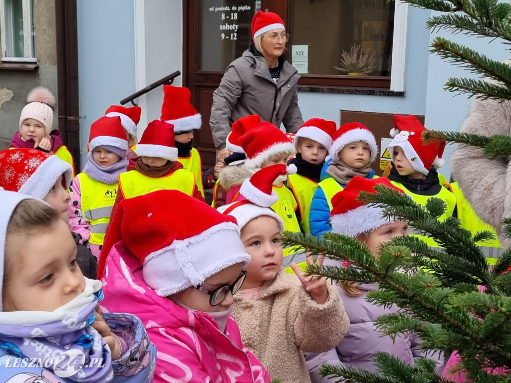 Przedszkolaki ustroiły choinki na Rynku w Rydzynie