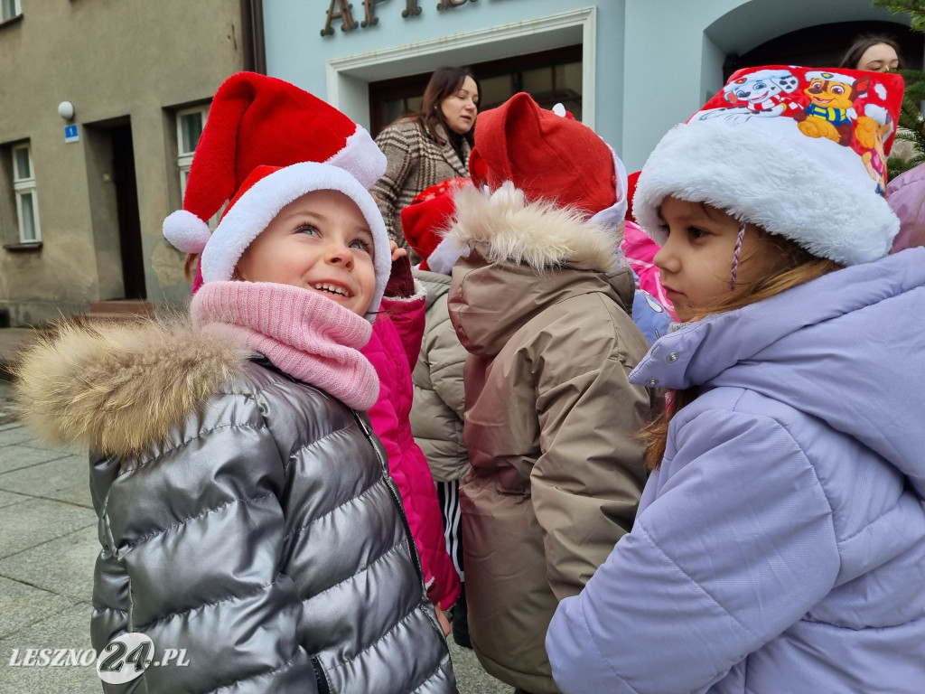 Przedszkolaki ustroiły choinki na Rynku w Rydzynie