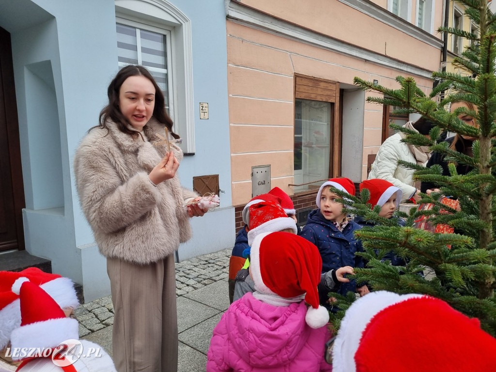 Przedszkolaki ustroiły choinki na Rynku w Rydzynie