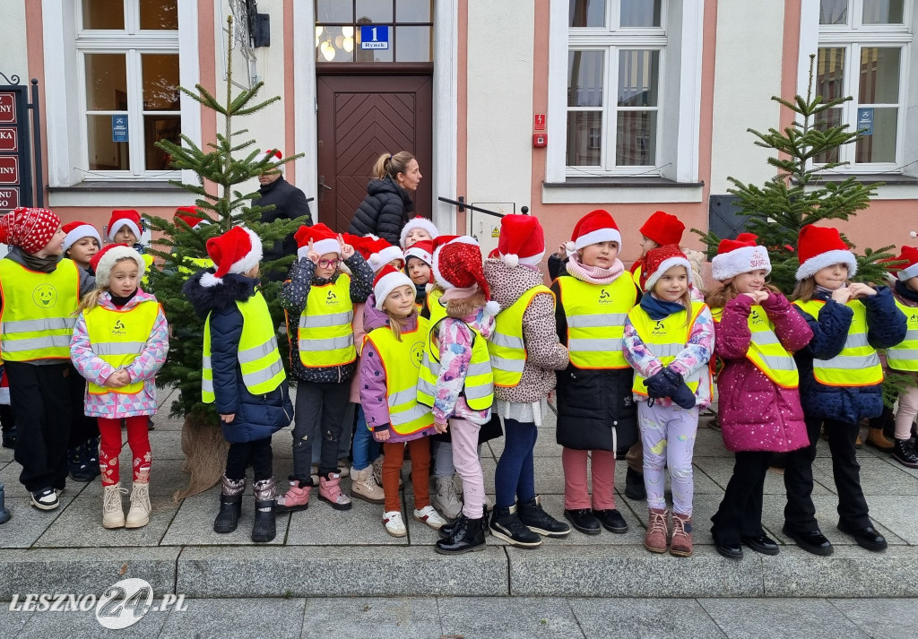 Przedszkolaki ustroiły choinki na Rynku w Rydzynie