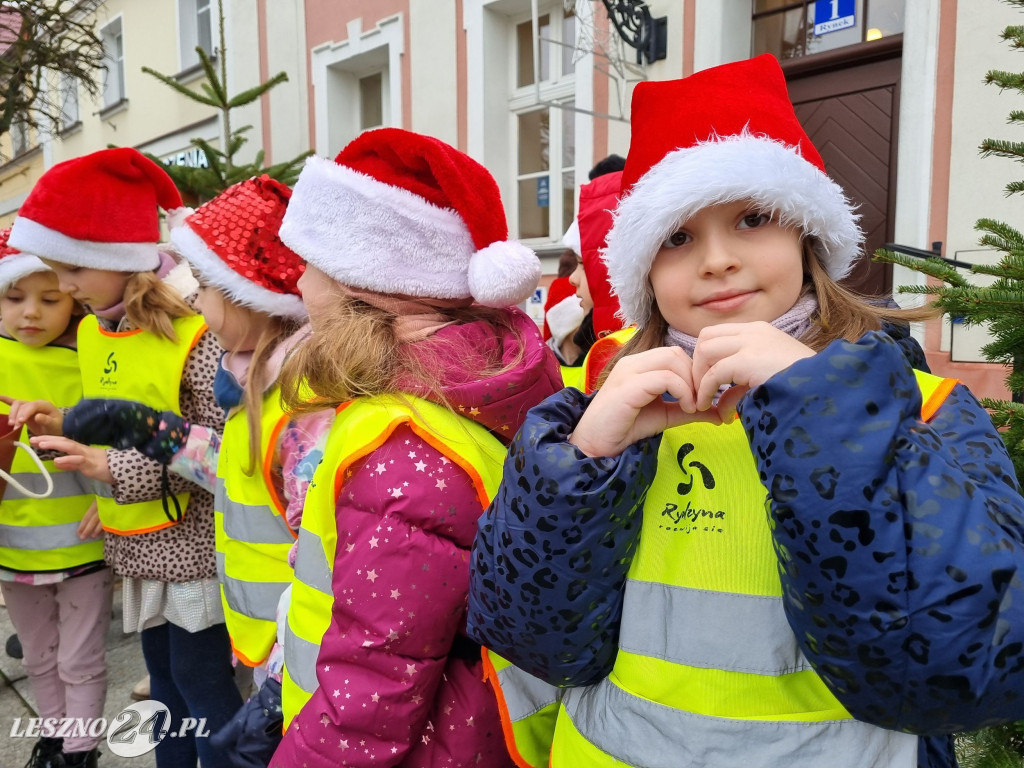 Przedszkolaki ustroiły choinki na Rynku w Rydzynie