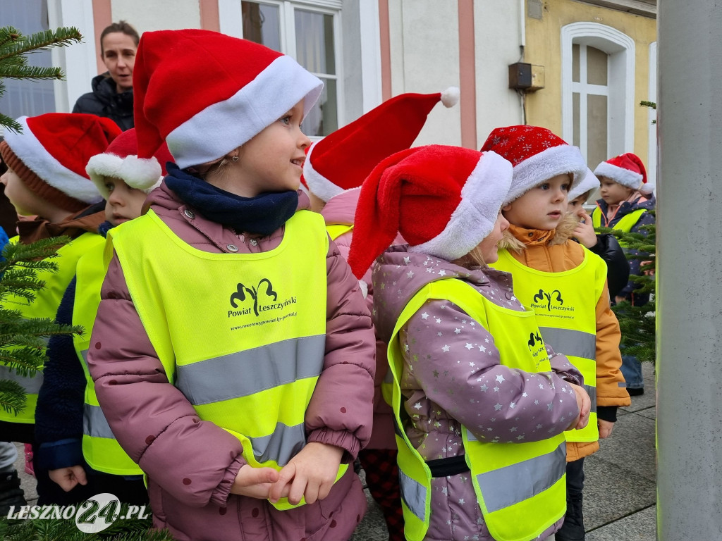 Przedszkolaki ustroiły choinki na Rynku w Rydzynie