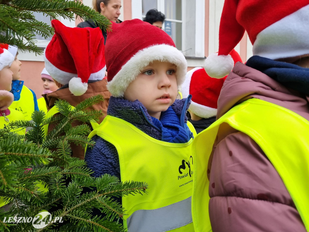Przedszkolaki ustroiły choinki na Rynku w Rydzynie
