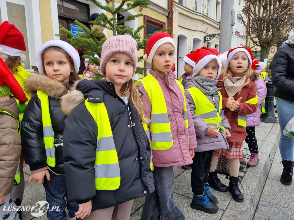 Przedszkolaki ustroiły choinki na Rynku w Rydzynie