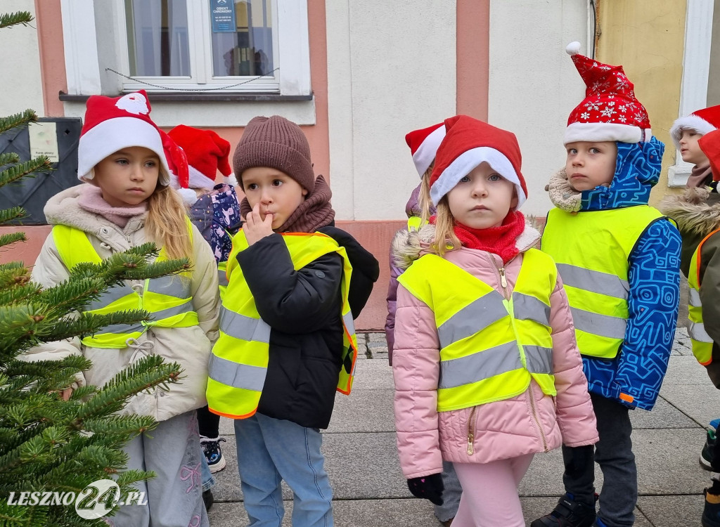 Przedszkolaki ustroiły choinki na Rynku w Rydzynie