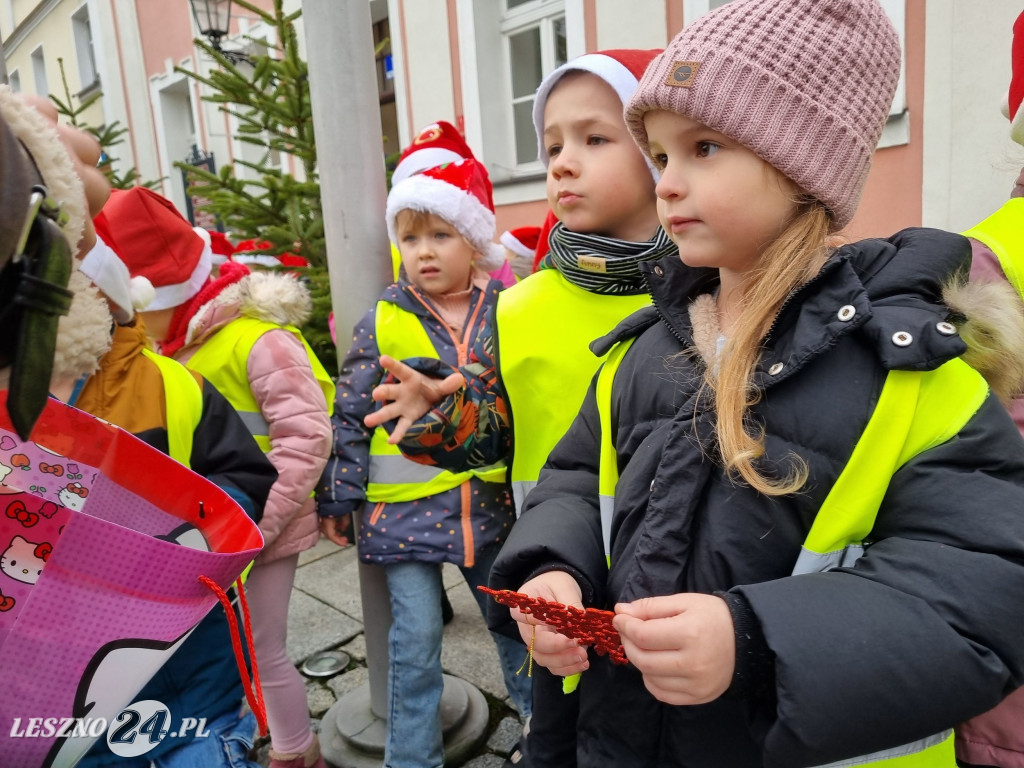 Przedszkolaki ustroiły choinki na Rynku w Rydzynie