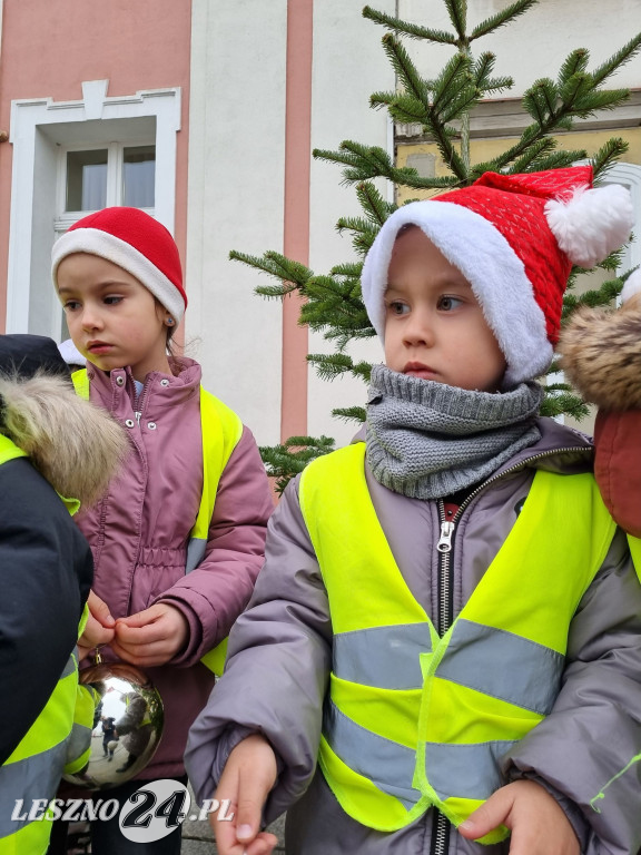 Przedszkolaki ustroiły choinki na Rynku w Rydzynie