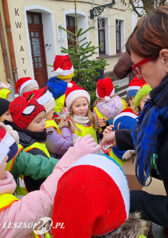 Przedszkolaki ustroiły choinki na Rynku w Rydzynie