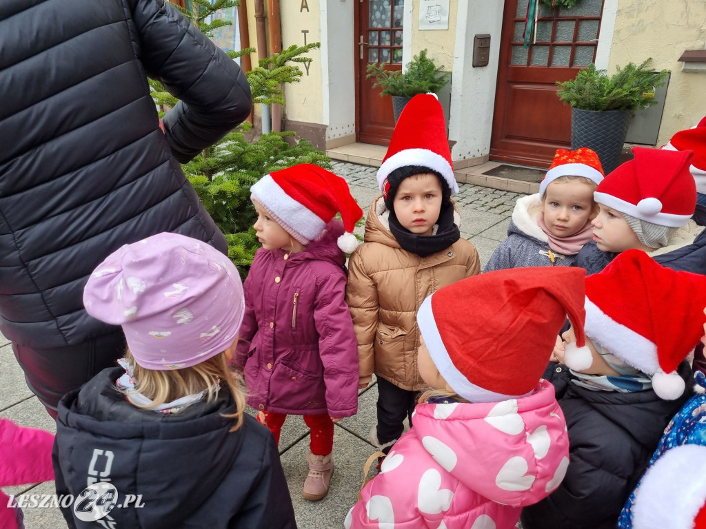 Przedszkolaki ustroiły choinki na Rynku w Rydzynie