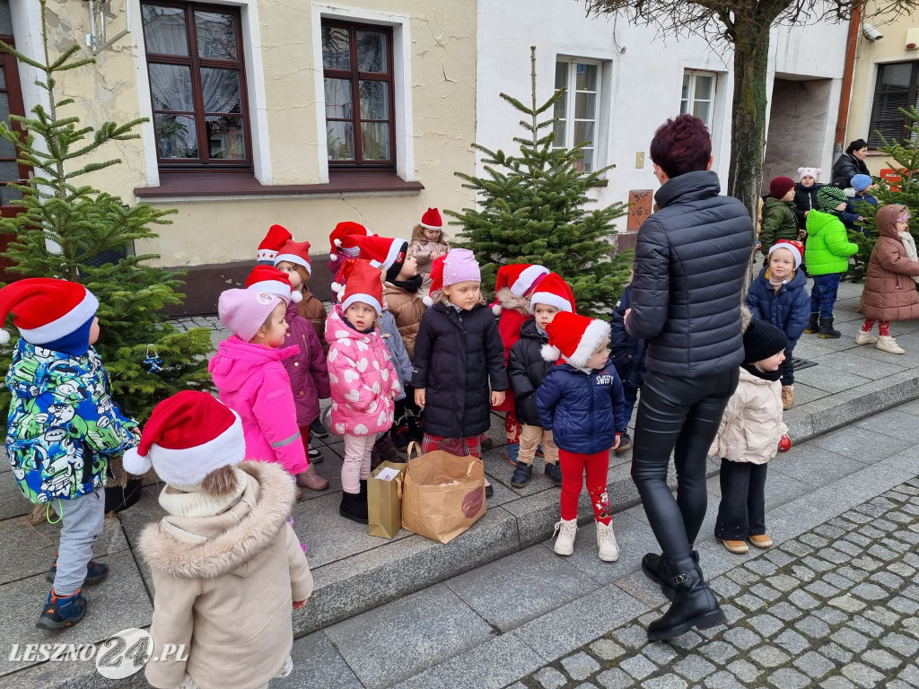 Przedszkolaki ustroiły choinki na Rynku w Rydzynie