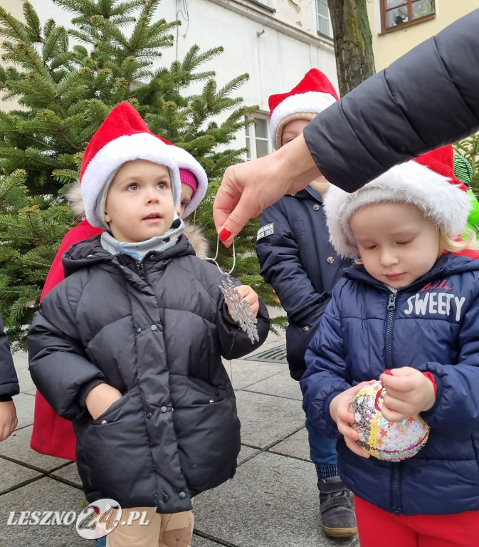 Przedszkolaki ustroiły choinki na Rynku w Rydzynie