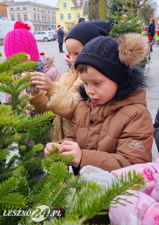 Przedszkolaki ustroiły choinki na Rynku w Rydzynie