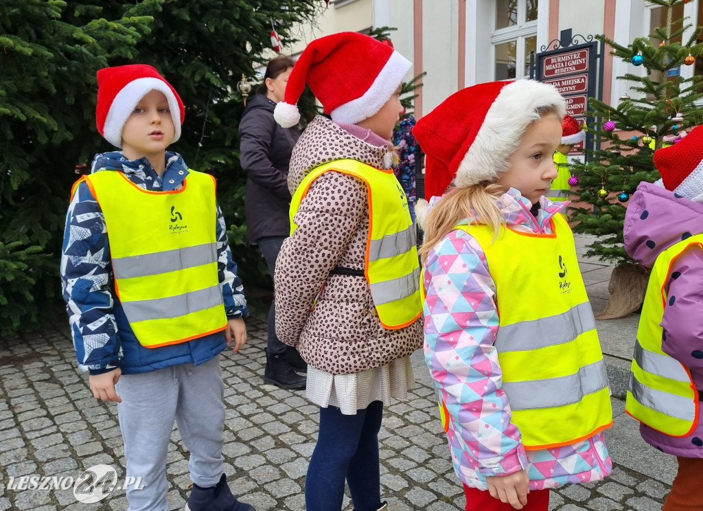 Przedszkolaki ustroiły choinki na Rynku w Rydzynie