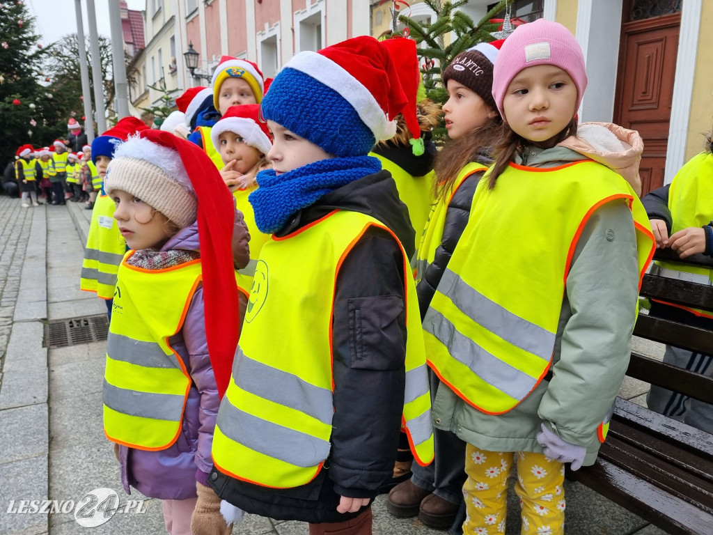 Przedszkolaki ustroiły choinki na Rynku w Rydzynie