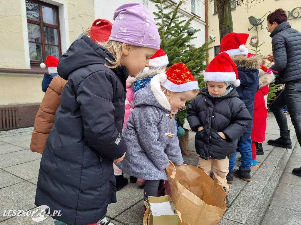 Przedszkolaki ustroiły choinki na Rynku w Rydzynie