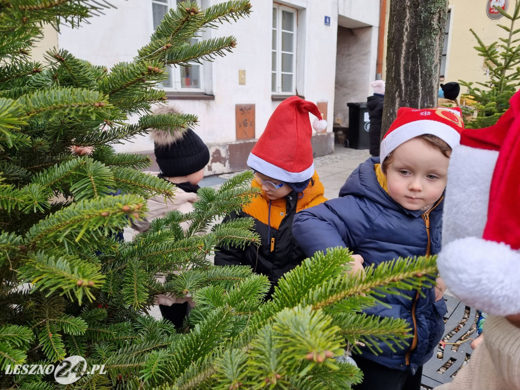 Przedszkolaki ustroiły choinki na Rynku w Rydzynie
