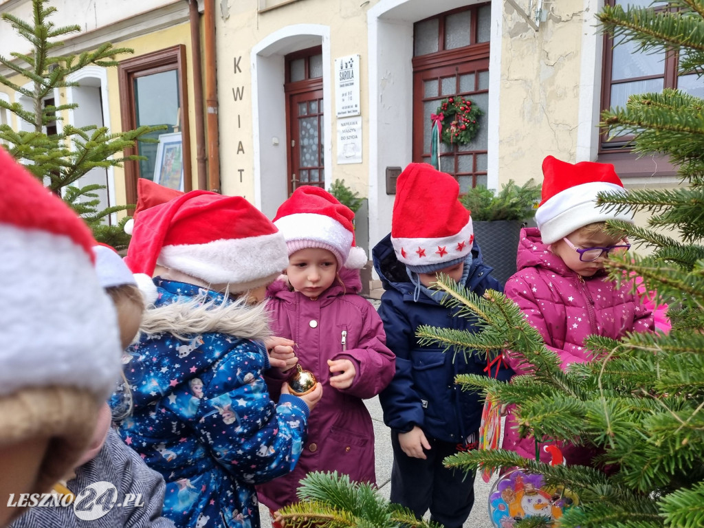 Przedszkolaki ustroiły choinki na Rynku w Rydzynie