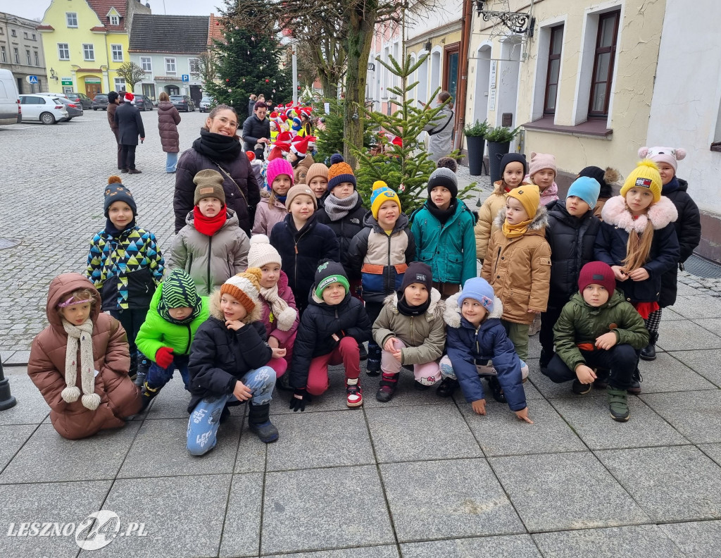 Przedszkolaki ustroiły choinki na Rynku w Rydzynie