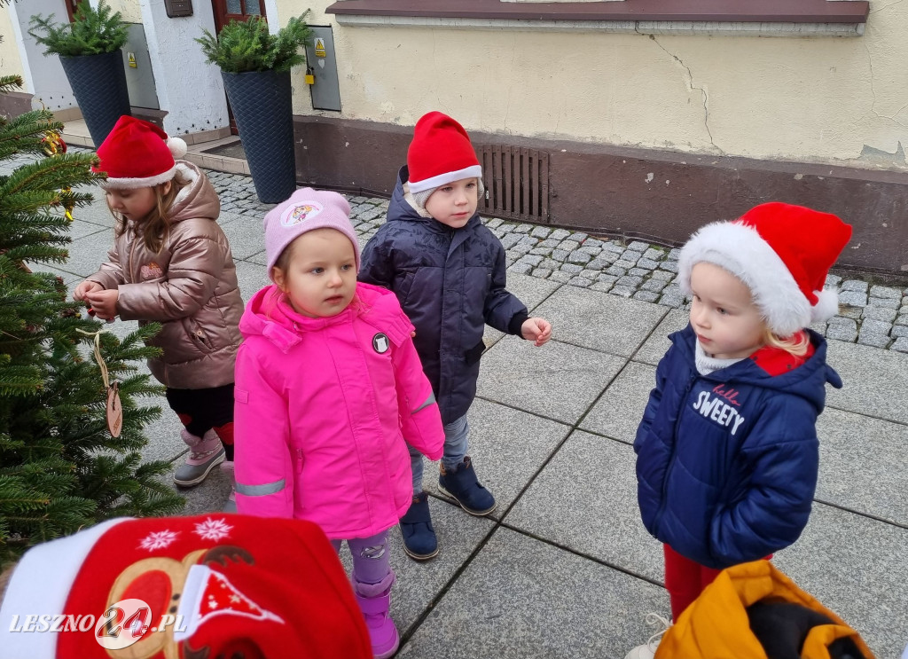 Przedszkolaki ustroiły choinki na Rynku w Rydzynie
