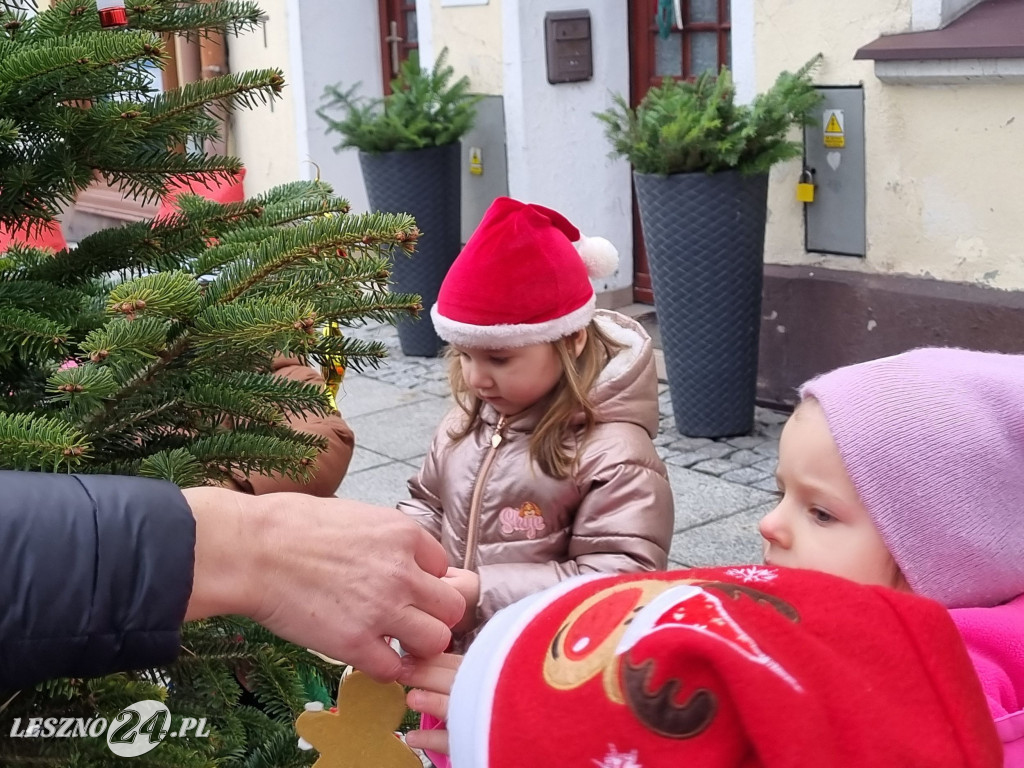 Przedszkolaki ustroiły choinki na Rynku w Rydzynie