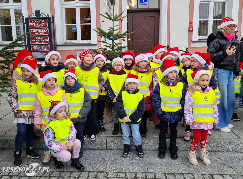 Przedszkolaki ustroiły choinki na Rynku w Rydzynie