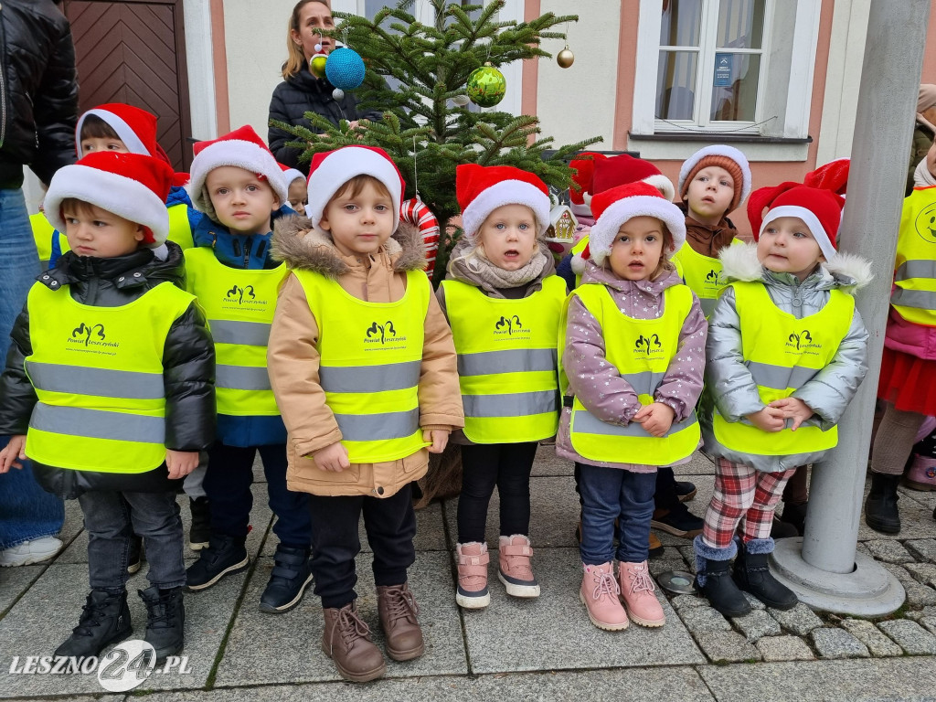 Przedszkolaki ustroiły choinki na Rynku w Rydzynie
