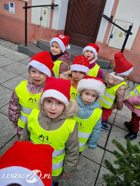 Przedszkolaki ustroiły choinki na Rynku w Rydzynie