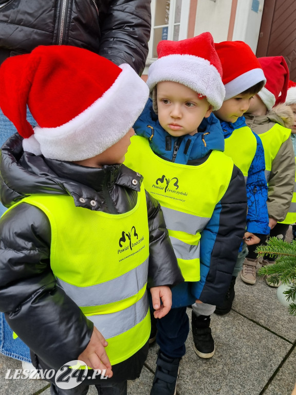 Przedszkolaki ustroiły choinki na Rynku w Rydzynie
