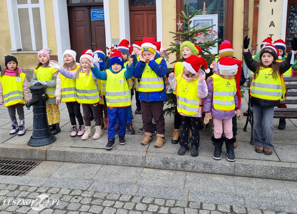 Przedszkolaki ustroiły choinki na Rynku w Rydzynie